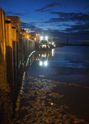 whitby june 2015 1 sm.jpg